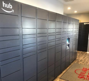 Hub package lockers